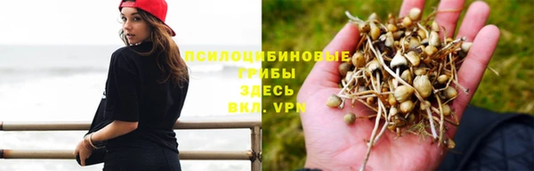 кокс Абинск