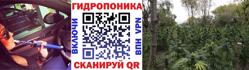 Бошки Шишки Bruce Banner  Вытегра 